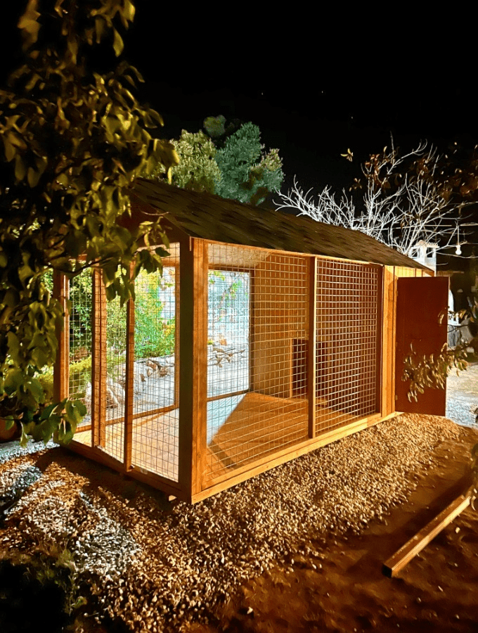 Belis Ahşap Köpek KulübesiKöpek KulübesiWoodzanya