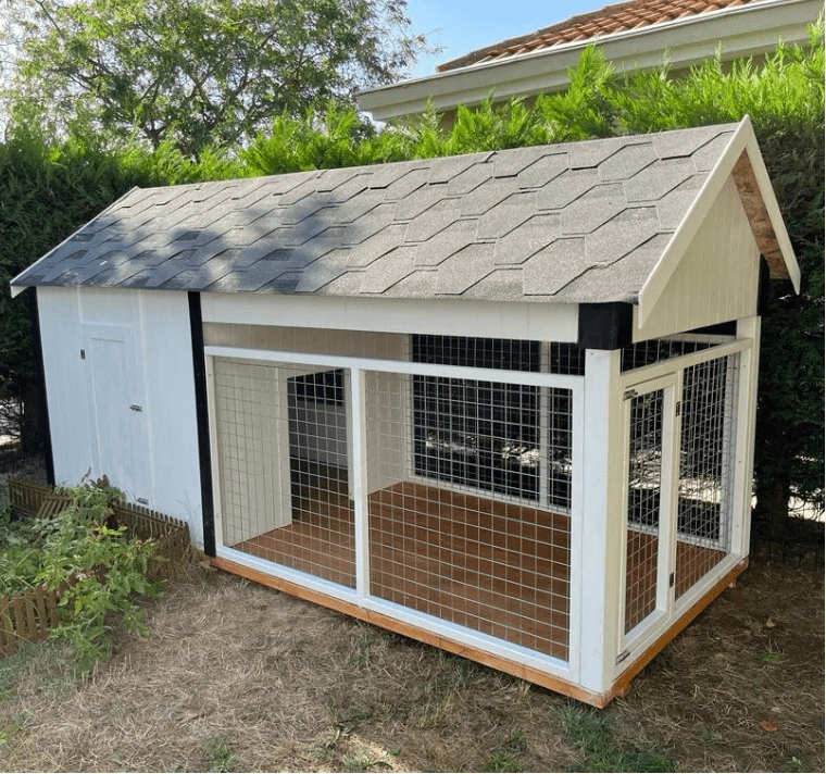 Lively Ahşap Köpek KulübesiKöpek KulübesiWoodzanya