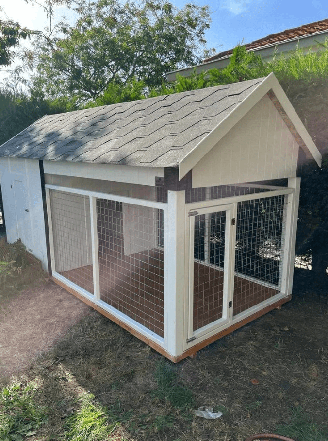 Lively Ahşap Köpek KulübesiKöpek KulübesiWoodzanya