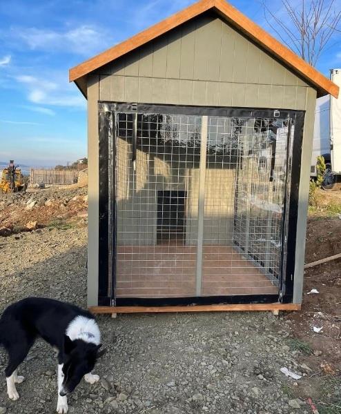 Lucky Ahşap Köpek KulübesiKöpek KulübesiWoodzanya