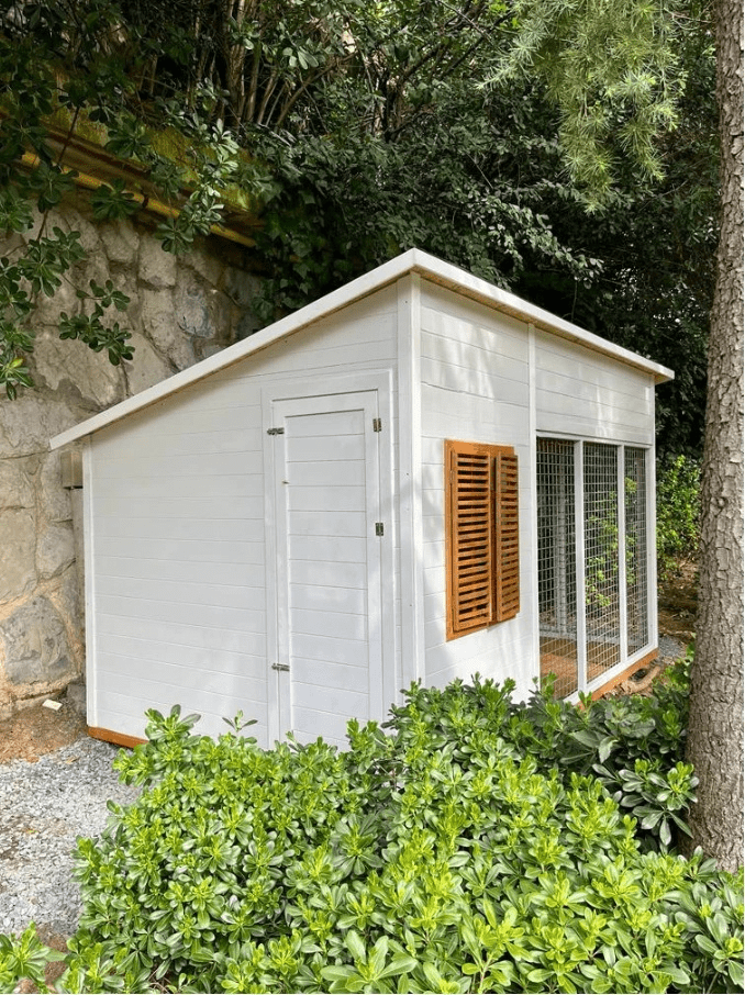 Miko Ahşap Köpek KulübesiKöpek KulübesiWoodzanya