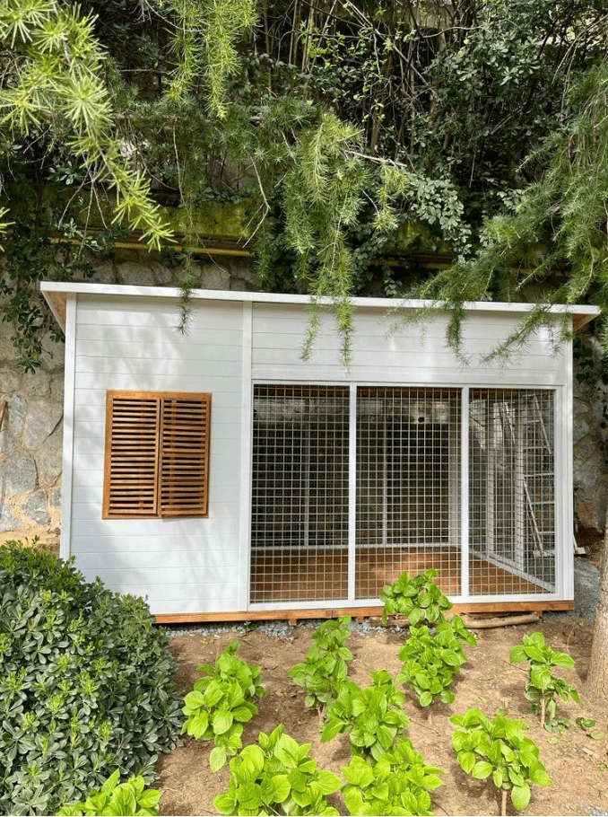 Miko Ahşap Köpek KulübesiKöpek KulübesiWoodzanya