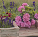 Oturaklı U Şekilli Bahçe Saksısı | Dayanıklı ve Şık TasarımAhşap SaksıWoodzanya