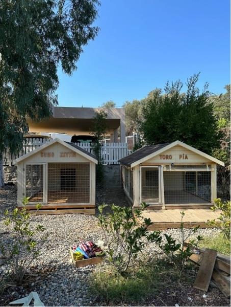 Sertab Erener Özel Ahşap Köpek KulübesiKöpek KulübesiWoodzanya