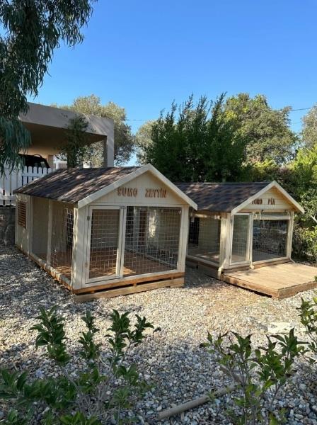 Sertab Erener Özel Ahşap Köpek KulübesiKöpek KulübesiWoodzanya