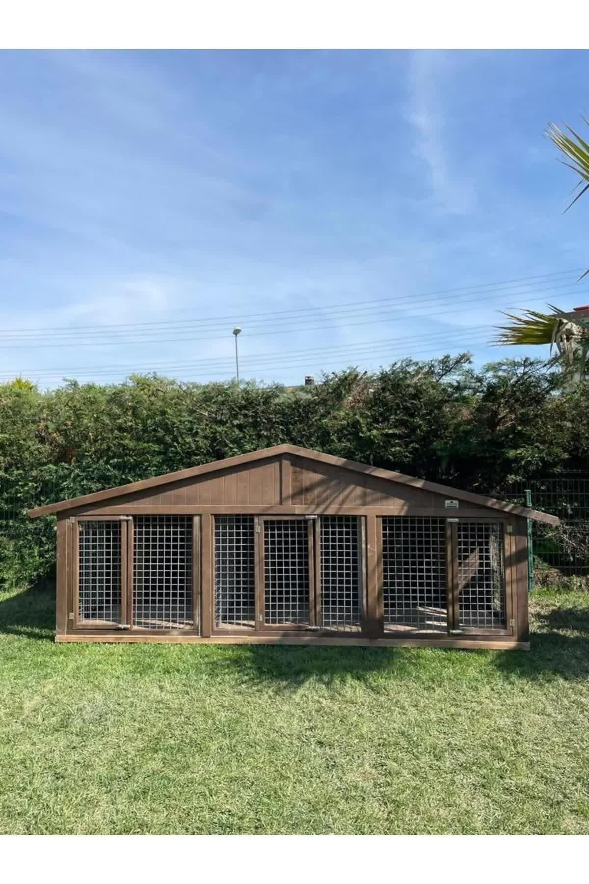 Vita XXL Köpek KulübesiKöpek KulübesiWoodzanya