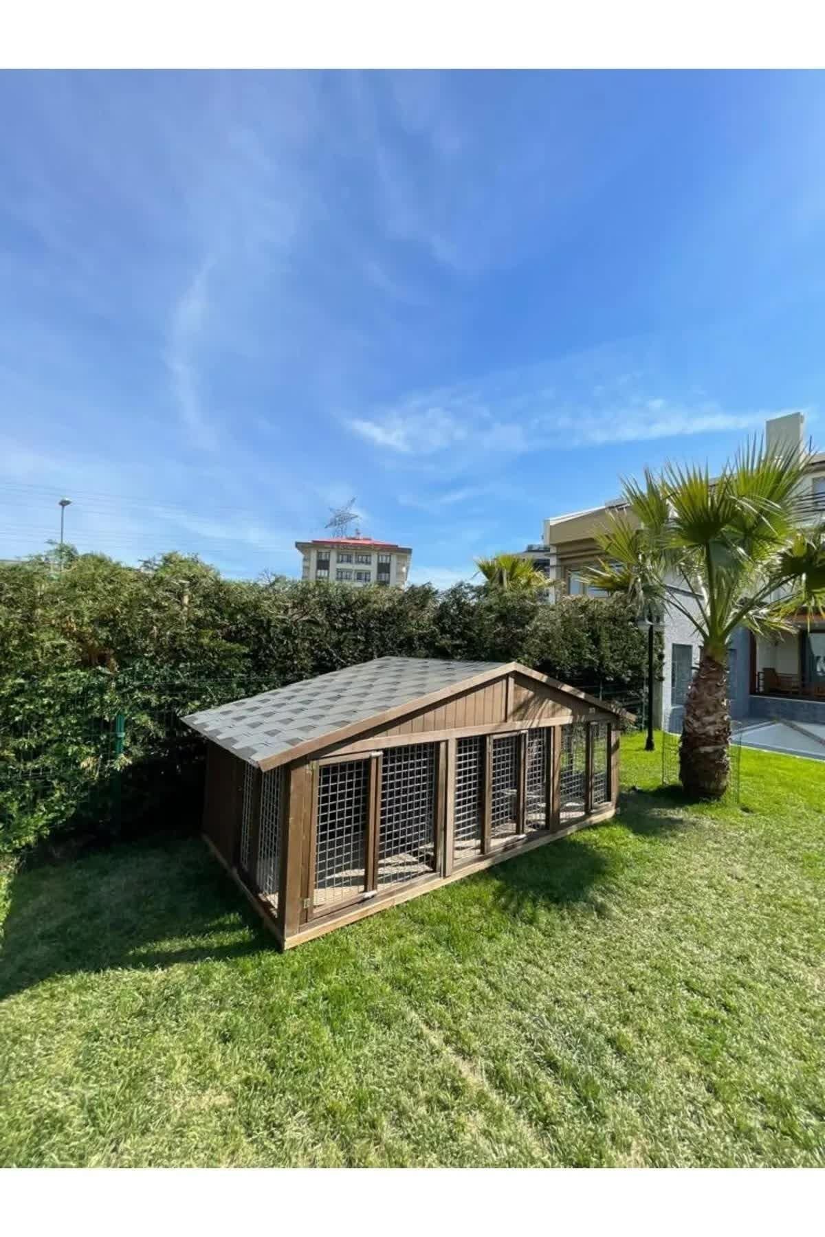 Vita XXL Köpek KulübesiKöpek KulübesiWoodzanya