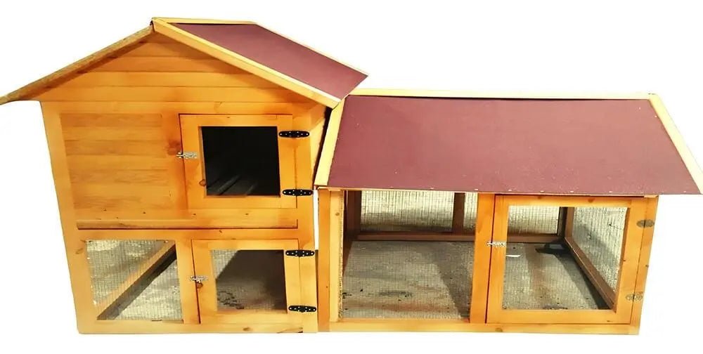 10 Tavuk için Kümes Ölçüleri ne olmalıdır? - Woodzanya