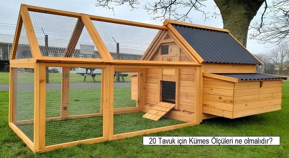 20 Tavuk için Kümes Ölçüleri ne olmalıdır? - Woodzanya