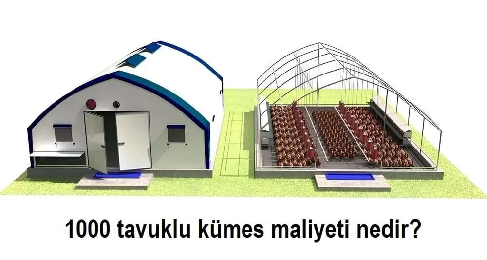 2025 Yılında 1000 Tavuklu Kümes Maliyeti Nedir? - Woodzanya