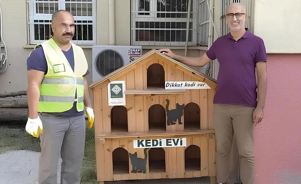 Sokak Kedileri İçin Dış Mekan Kedi Kulübesi Üretimi - Woodzanya