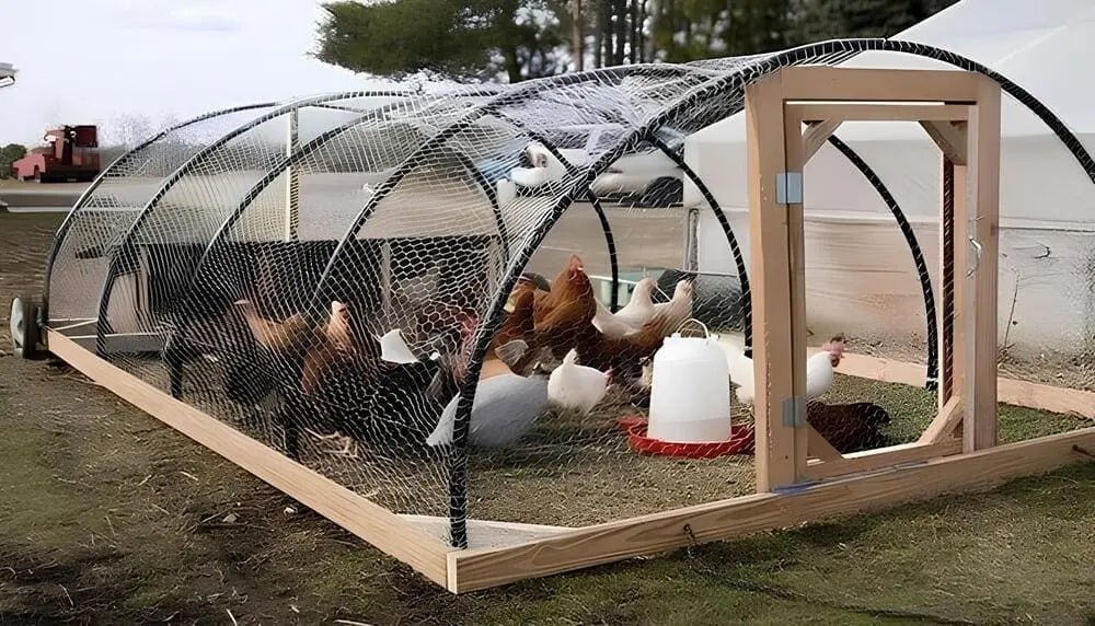 Tavuk Kümesi Nasıl Olmalı? - Woodzanya