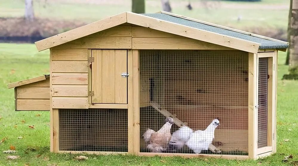 Tavuk Kümesi Seçimi Nasıl Olmalı? - Woodzanya