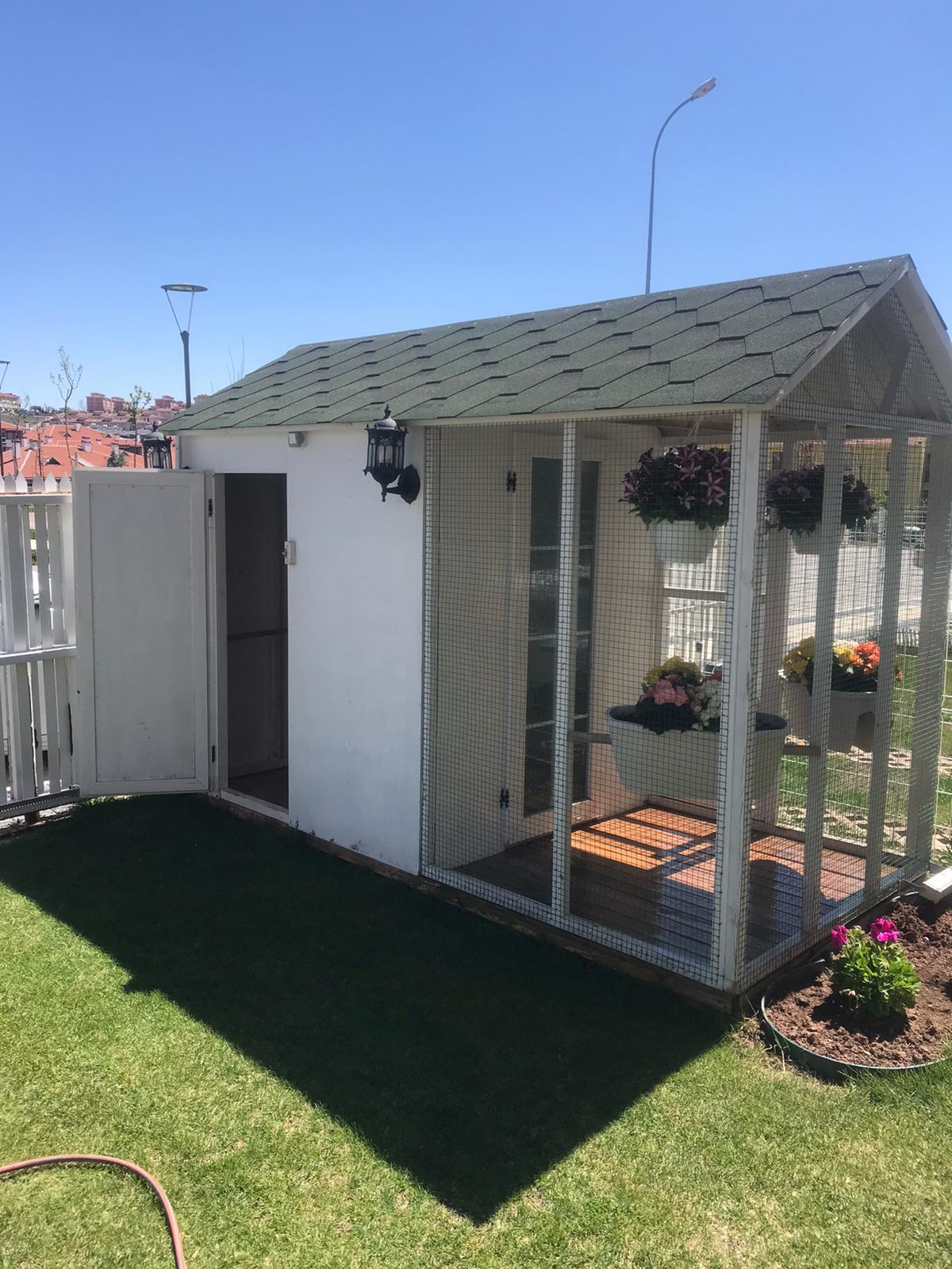 2×3=6m² 40 Tavukluk Ahşap Tavuk KümesiTavuk KümesiWoodzanya