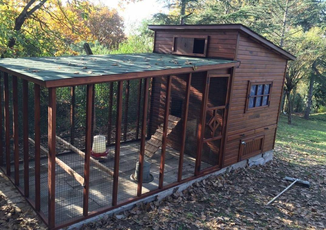 2×5=10m2 80 Tavukluk Ahşap Tavuk KümesiTavuk KümesiWoodzanya