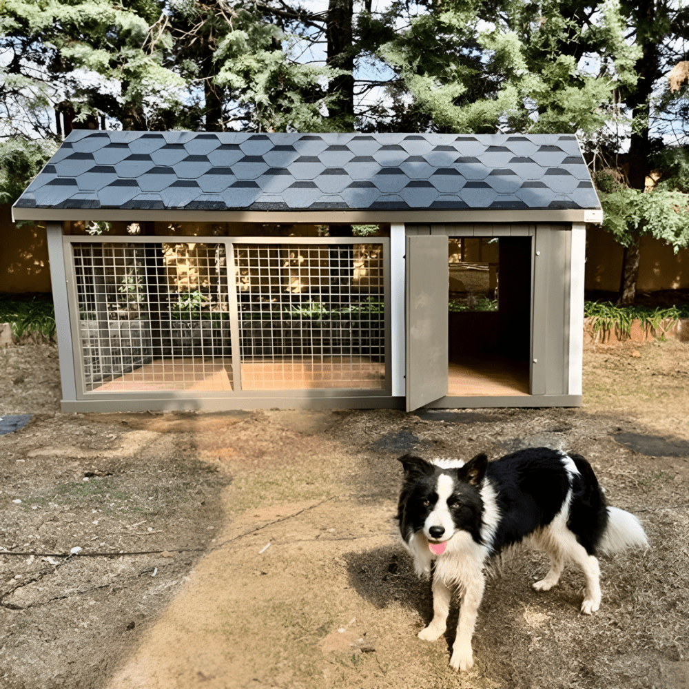 Boxy Ahşap Köpek KulübesiKöpek KulübesiWoodzanya