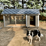 Boxy Ahşap Köpek KulübesiKöpek KulübesiWoodzanya