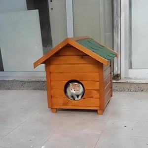 Dış Mekan Ahşap Kedi EviKedi EviWoodzanya