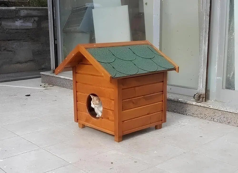 Dış Mekan Ahşap Kedi EviKedi EviWoodzanya