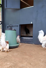 Honey Ahşap Lüks Tavuk KümesiTavuk KümesiWoodzanya