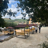 Japon Çatı Ahşap Çardak, 6 Kişilik Bahçe Masası, 200×150×230cmÇardakWoodzanya