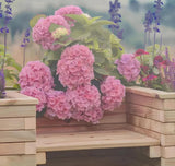 Oturaklı U Şekilli Bahçe Saksısı | Dayanıklı ve Şık TasarımAhşap SaksıWoodzanya