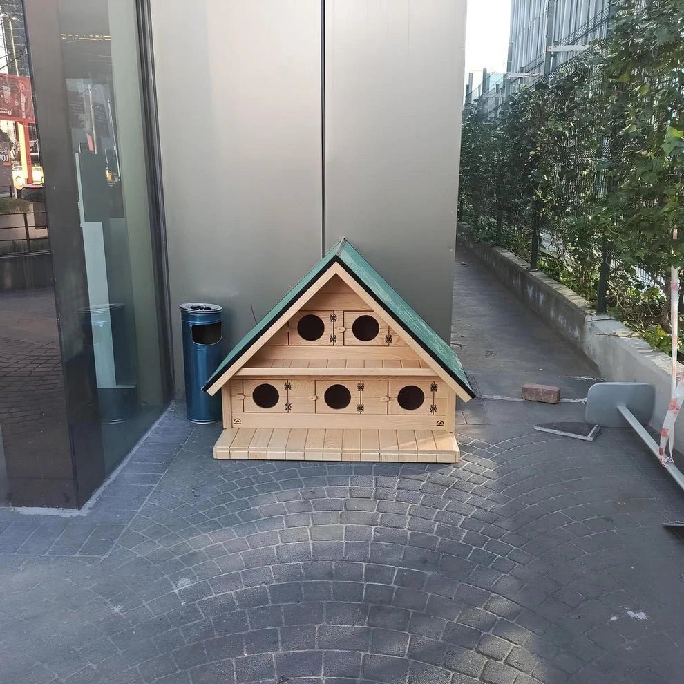 Sokak Kedileri için 5 Kedilik Ahşap Kedi EviKedi EviWoodzanya