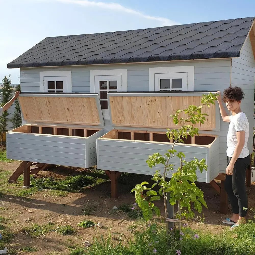 Tavuk Kümesi CountryTavuk KümesiWoodzanya